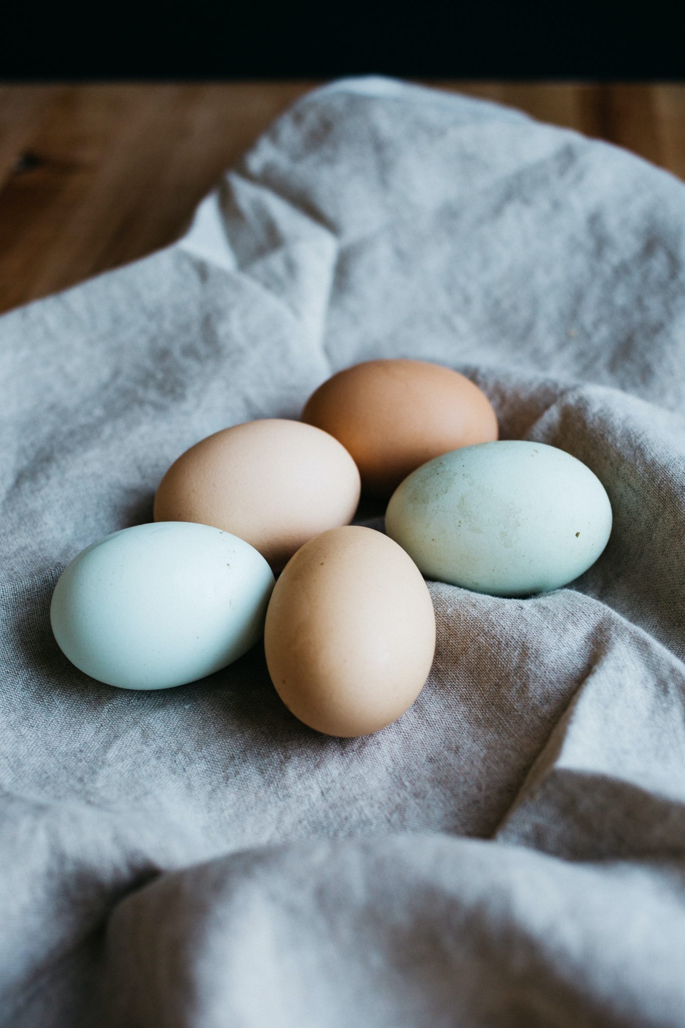 Des œufs de couleurs différentes Poulorama tout sur les poules