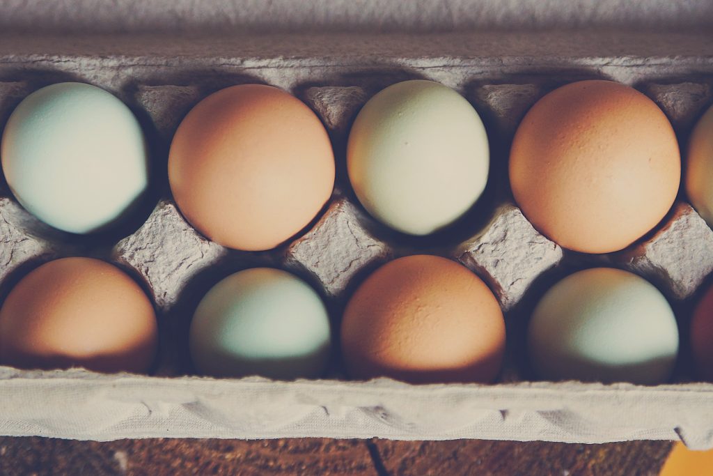 comment-avoir-de-beaux-oeufs-avec-vos-poules