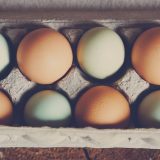 comment-avoir-de-beaux-oeufs-avec-vos-poules